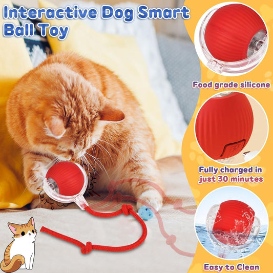 Smart Electric Ball Toy for Cats/Dogs(Rechargeable)