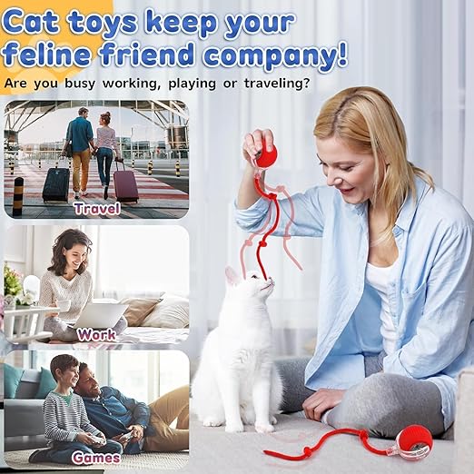 Smart Electric Ball Toy for Cats/Dogs(Rechargeable)