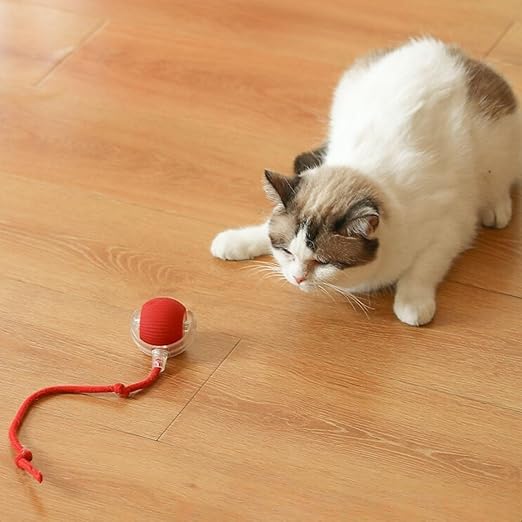 Smart Electric Ball Toy for Cats/Dogs(Rechargeable)