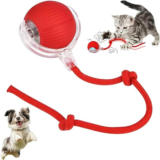 Smart Electric Ball Toy for Cats/Dogs(Rechargeable)